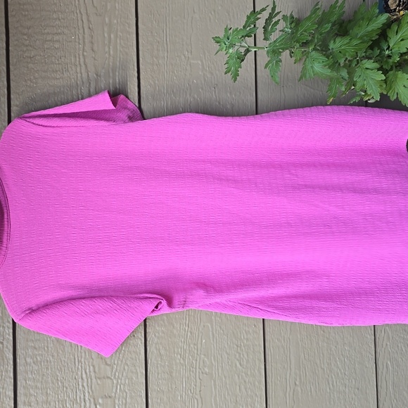 American Eagle Smocked Pink Button-Front Polo Mini Dress - XXL - Picture 10 of 14
